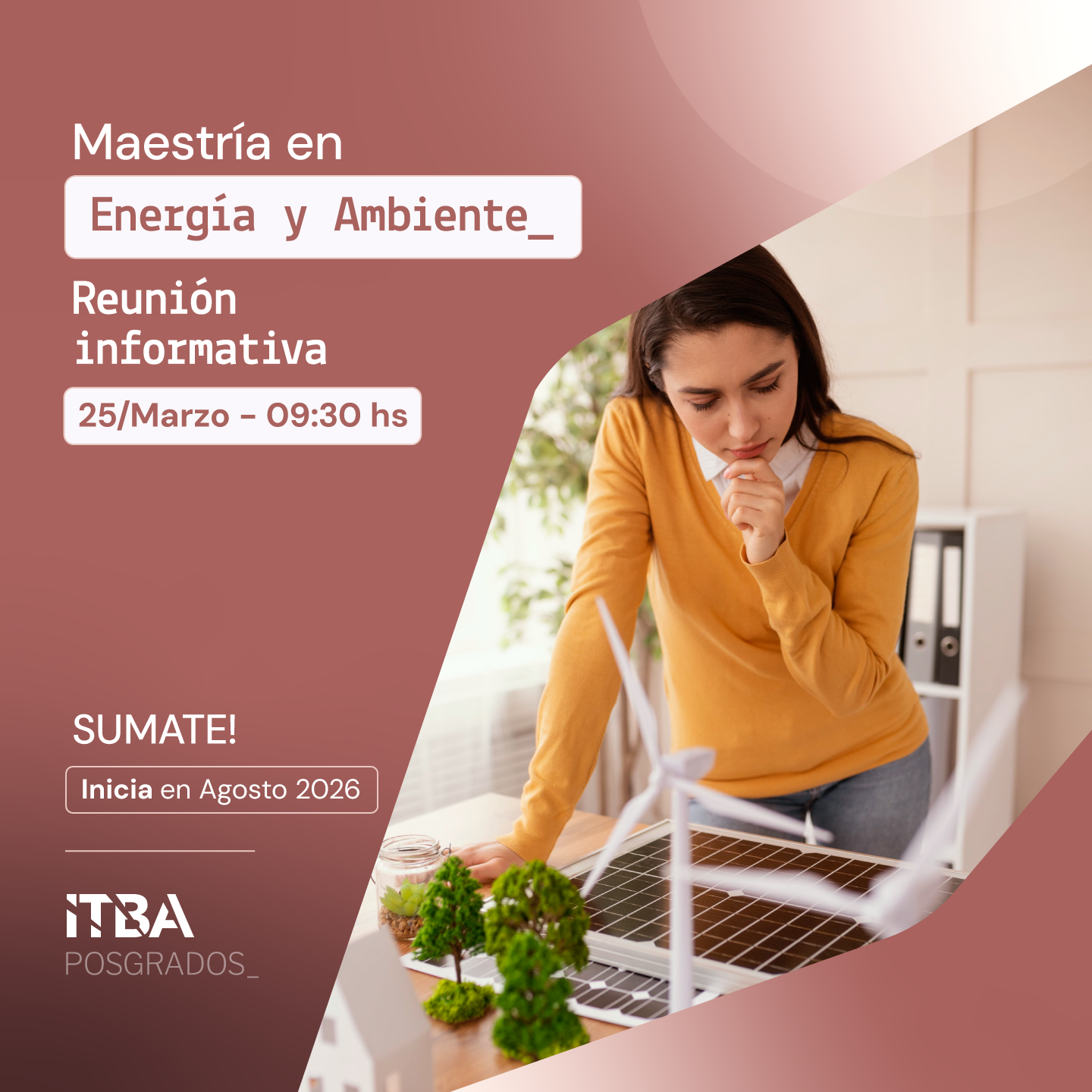 RI Maestría en Energía y Ambiente